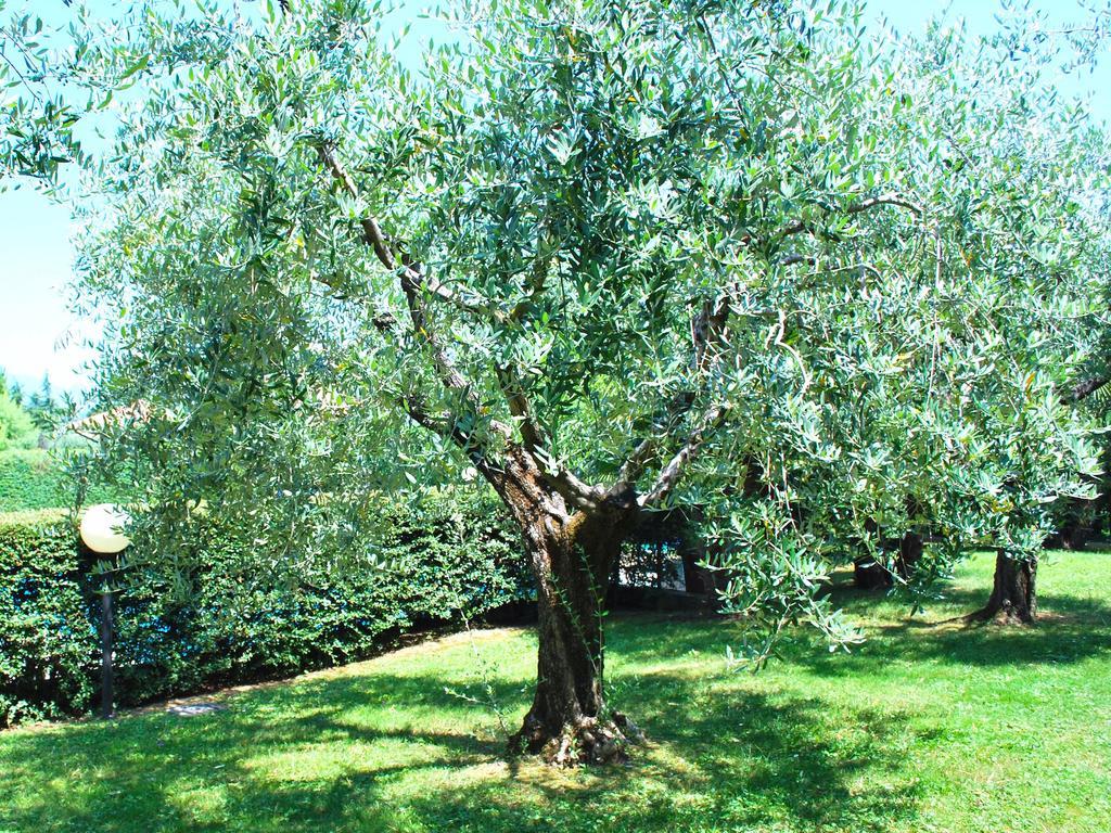 Corte Degli Olivi Appartamenti Manerba del Garda Quarto foto